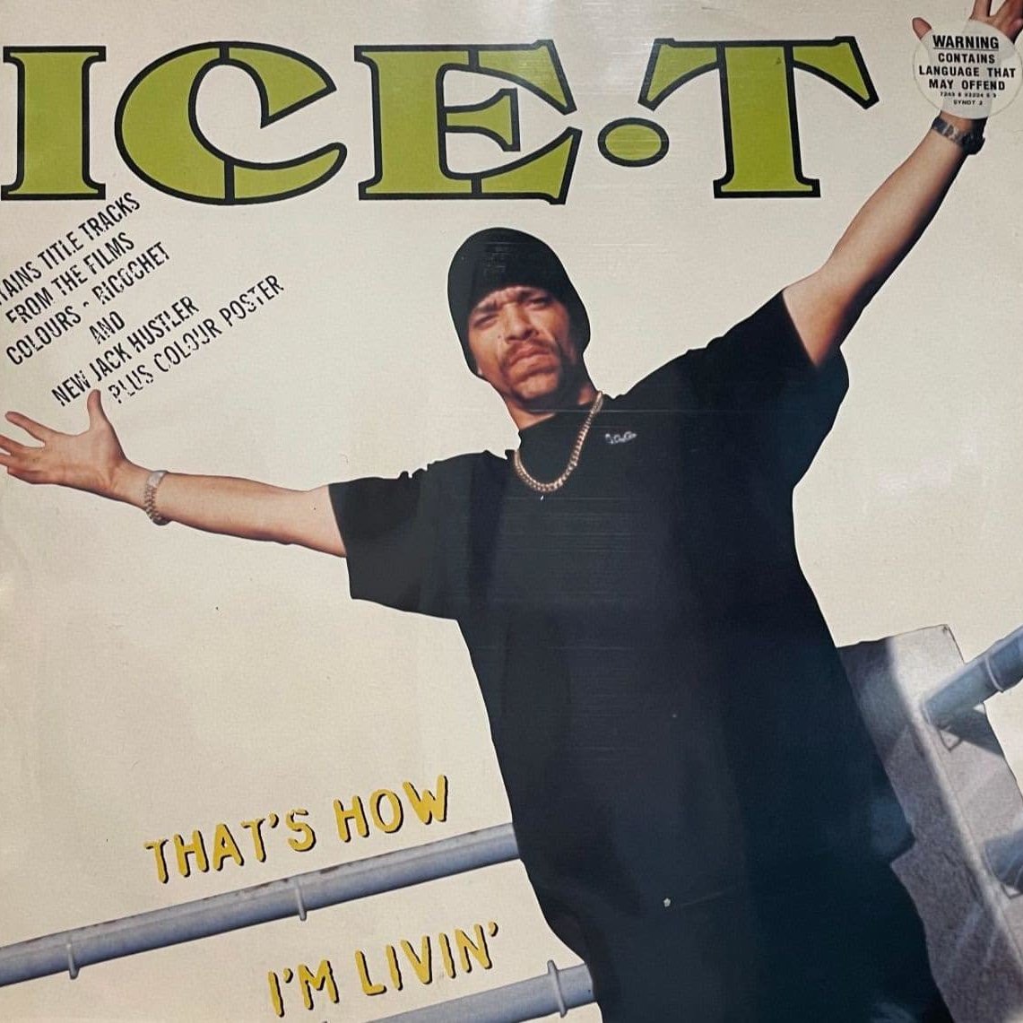 Ice T - That's how I'm livin'